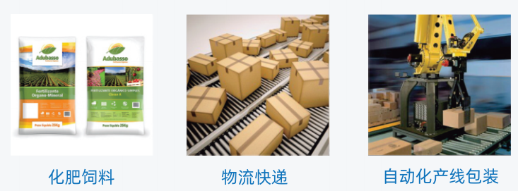 60K立式检重秤 台秤 衡器 袋箱 码垛包装线