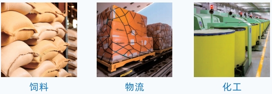 2.5T吨包复检秤 检重秤 台秤 衡器 物流化工